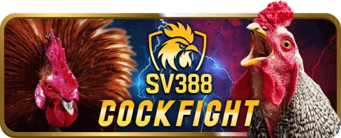 Bước 3: Hoàn tất đăng ký PU88